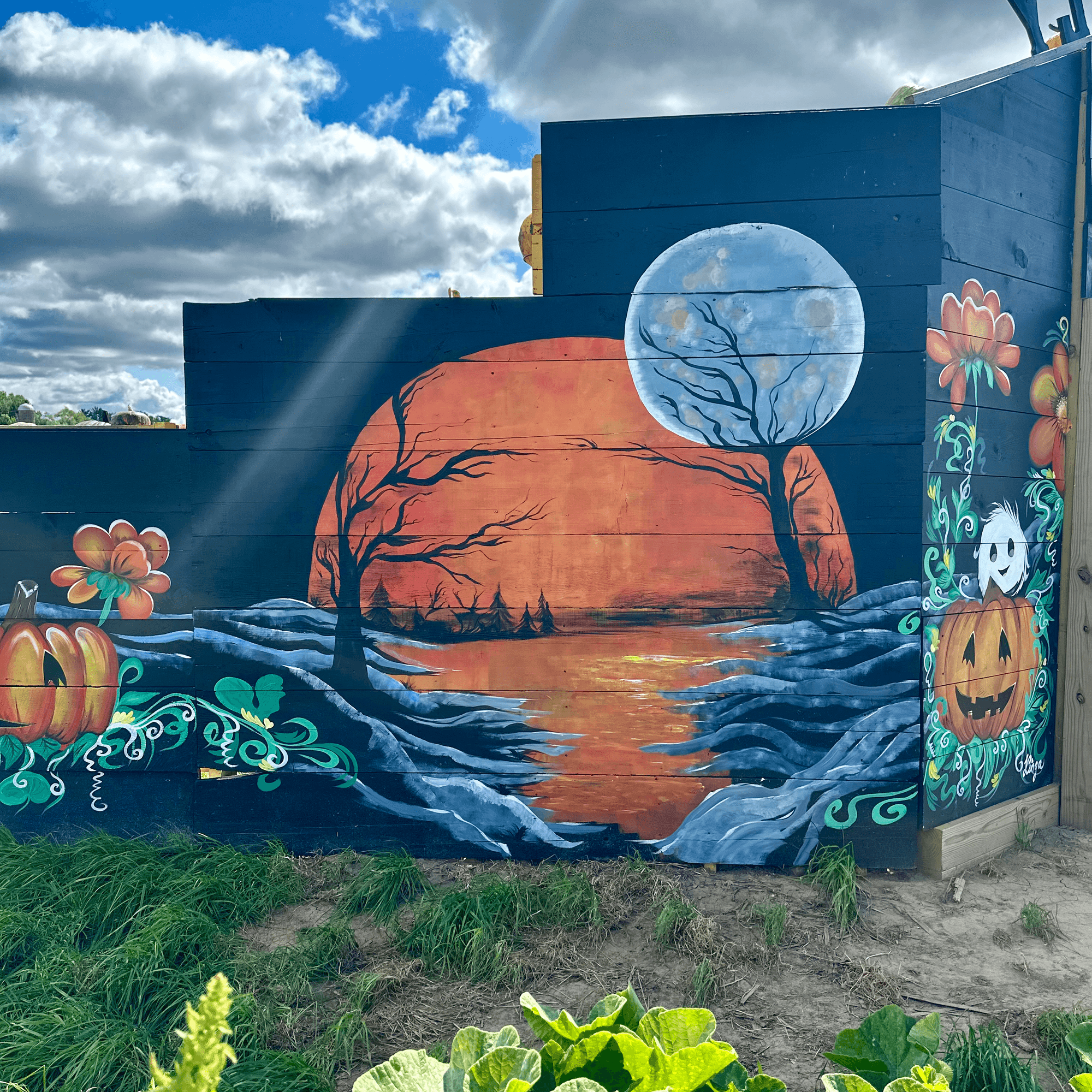 Pumpkin Mural at WarmBelly Farms — WarmBelly Farm, Cottage Grove, WI