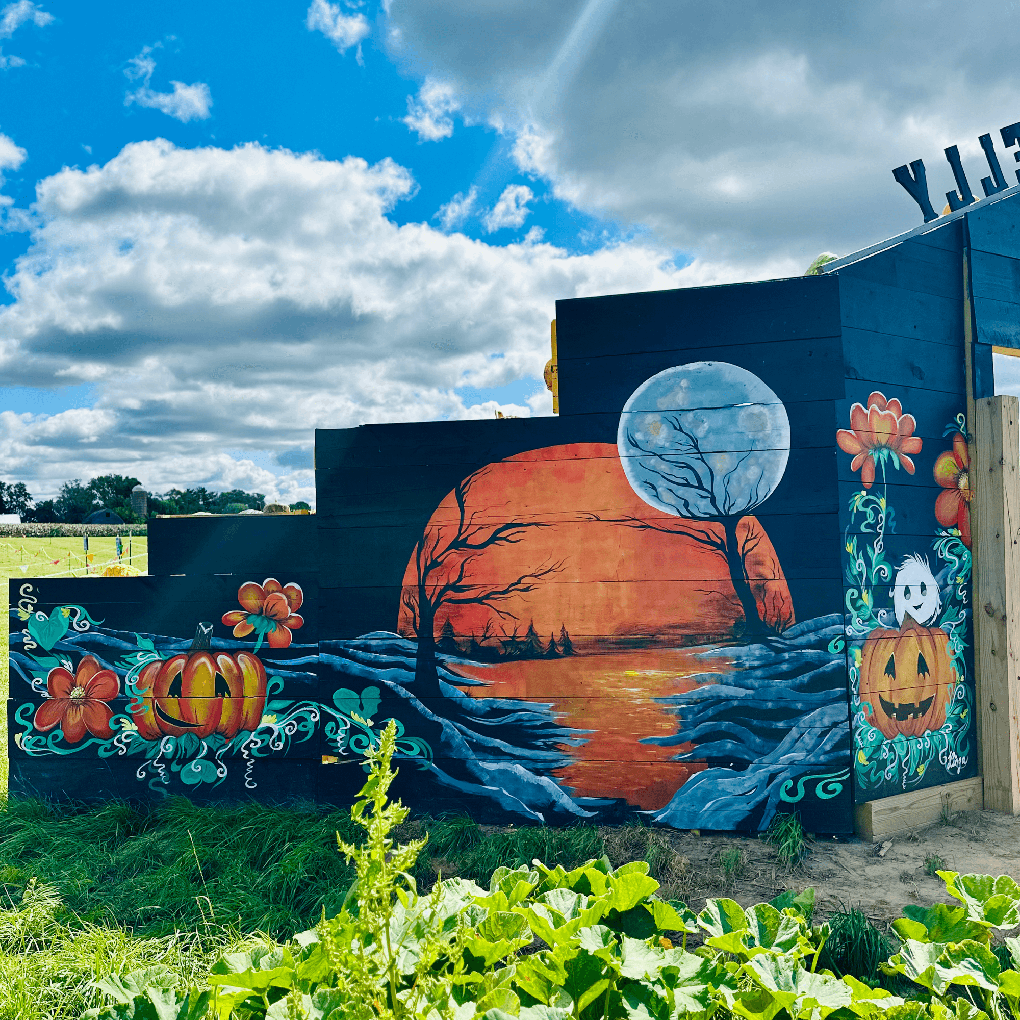 Pumpkin Mural at WarmBelly Farms — photo 3